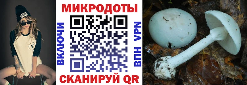 Галлюциногенные грибы Magic Shrooms  купить наркоту  Далматово 