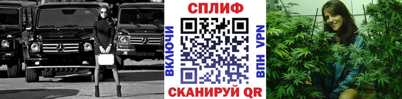 хочу наркоту  Далматово  гидра маркетплейс  Бошки Шишки планчик 
